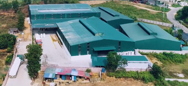 5 things to consider when choosing a filler masterbatch manufacturer in Vietnam